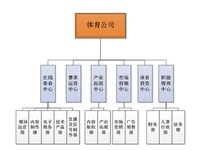 繼樂視體育后，PPTV也分拆體育公司