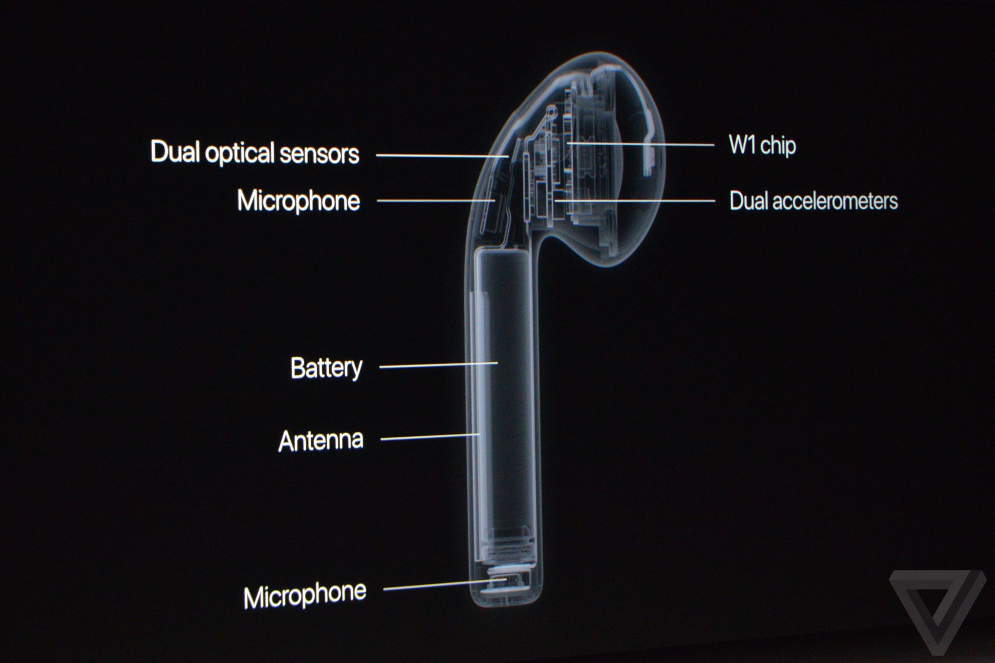 蘋果秋季發布會：除了iPhone 7還有表 就是有點“黑”