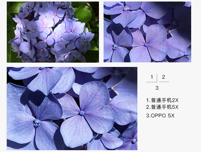 一圖看懂：OPPO5X新技術 5倍無損變焦