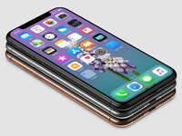 蘋果iPhone X定妝照出爐！搶到腮紅金新配色就是賺