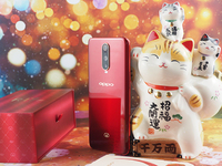 OPPO R17 Pro新年版開箱：祥云小金豬陪你迎新年