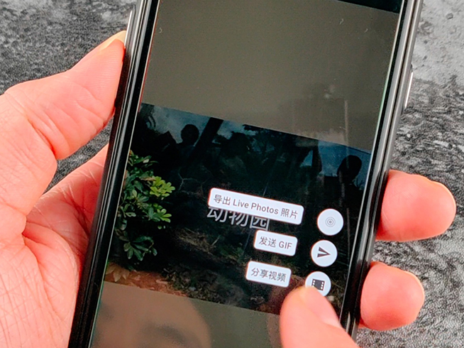 蘋果Live Photo分享朋友圈：用它還原每張照片背后的故事